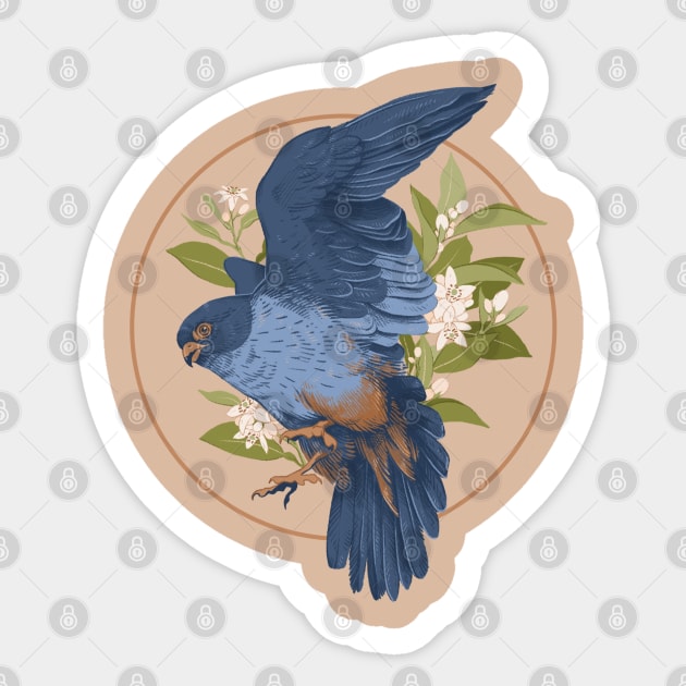 Red Footed Falcon Sticker by Drawing Alba